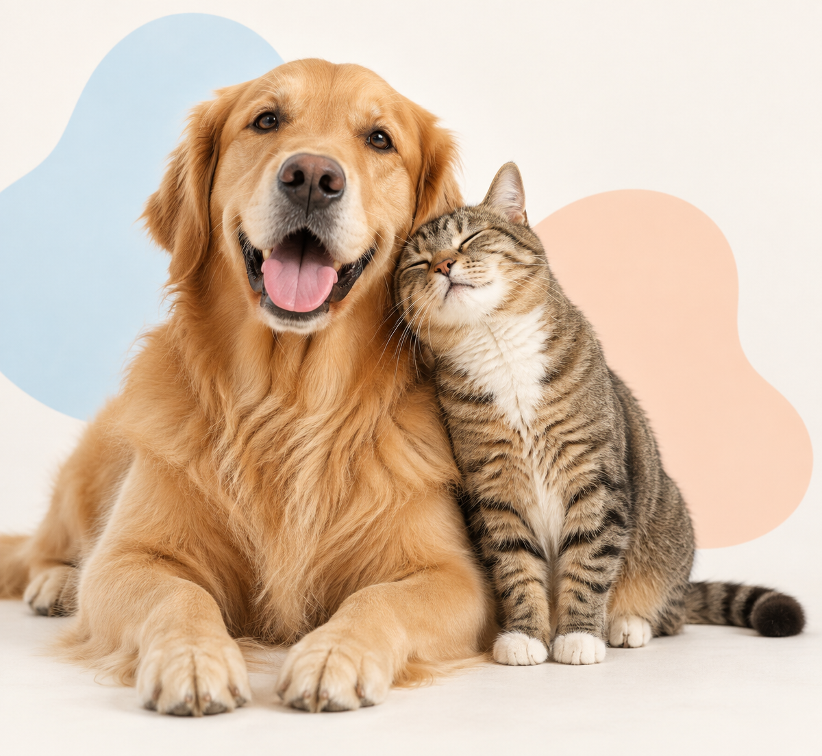 Happy golden retriever and affectionate tabby cat